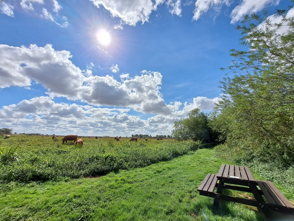 Summer walk and access – explore even more wetlands